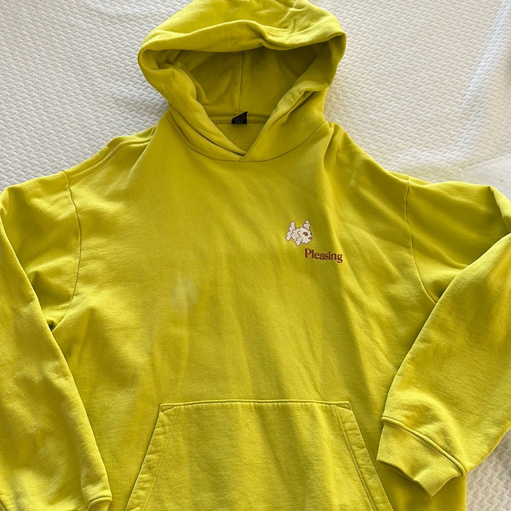 Harry Styles Pleasing Coachella Hoodie